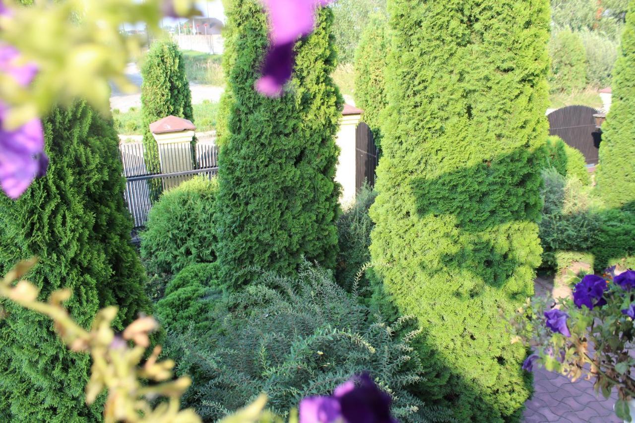 Bed and Breakfast Zolota Pidkova Kowel Zewnętrze zdjęcie